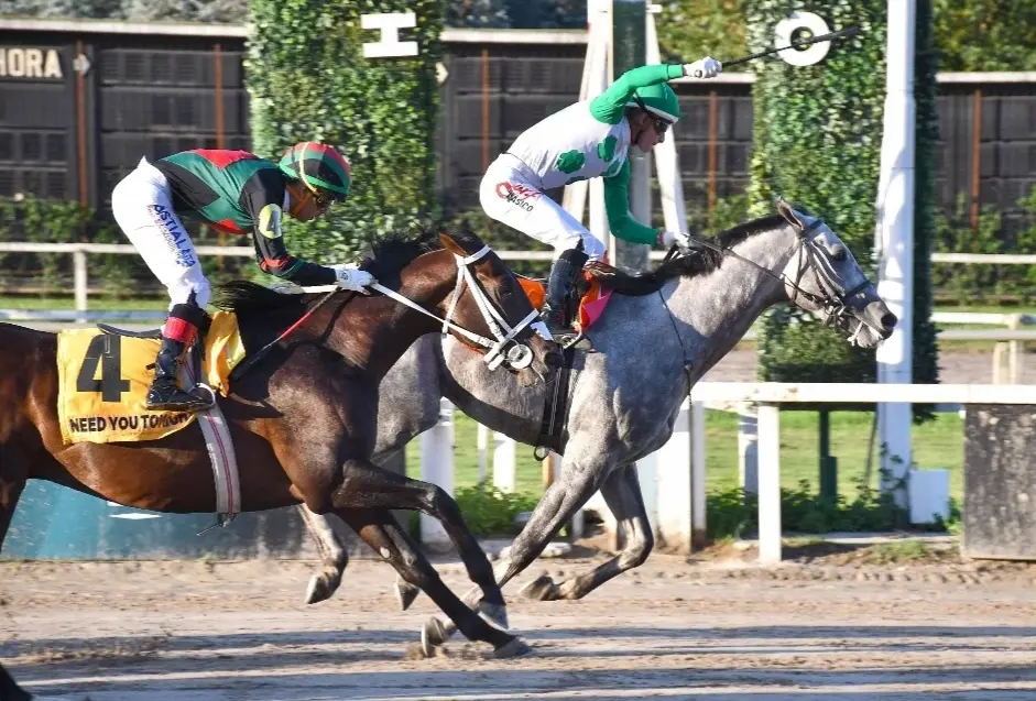 La gran revancha. Butterfing y Need You Tonight vuelven a cruzarse, ahora en el Gran Premio República Argentina (G1).