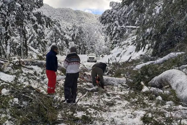 Evacuados tras derrumbe en la ruta 40