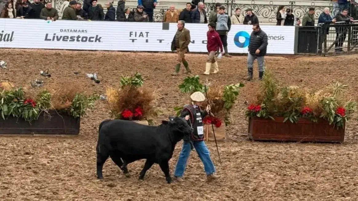 Con apenas 17 años, cumplió el sueño de presentar un Brangus en la pista de la Exposición Rural