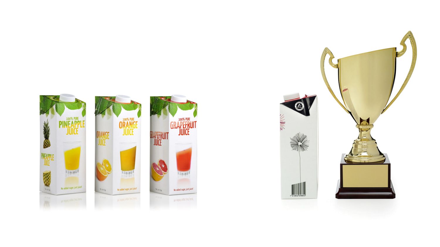 Premio WorldStar 2014 para Tetra Brik