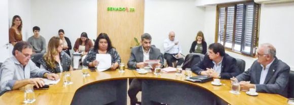 Proyecto que reglamenta los plazos del Ejecutivo para contestar los requerimientos de las Cámaras