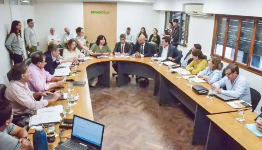 Senadores comenzaron con el análisis del proyecto para la creación de OSER