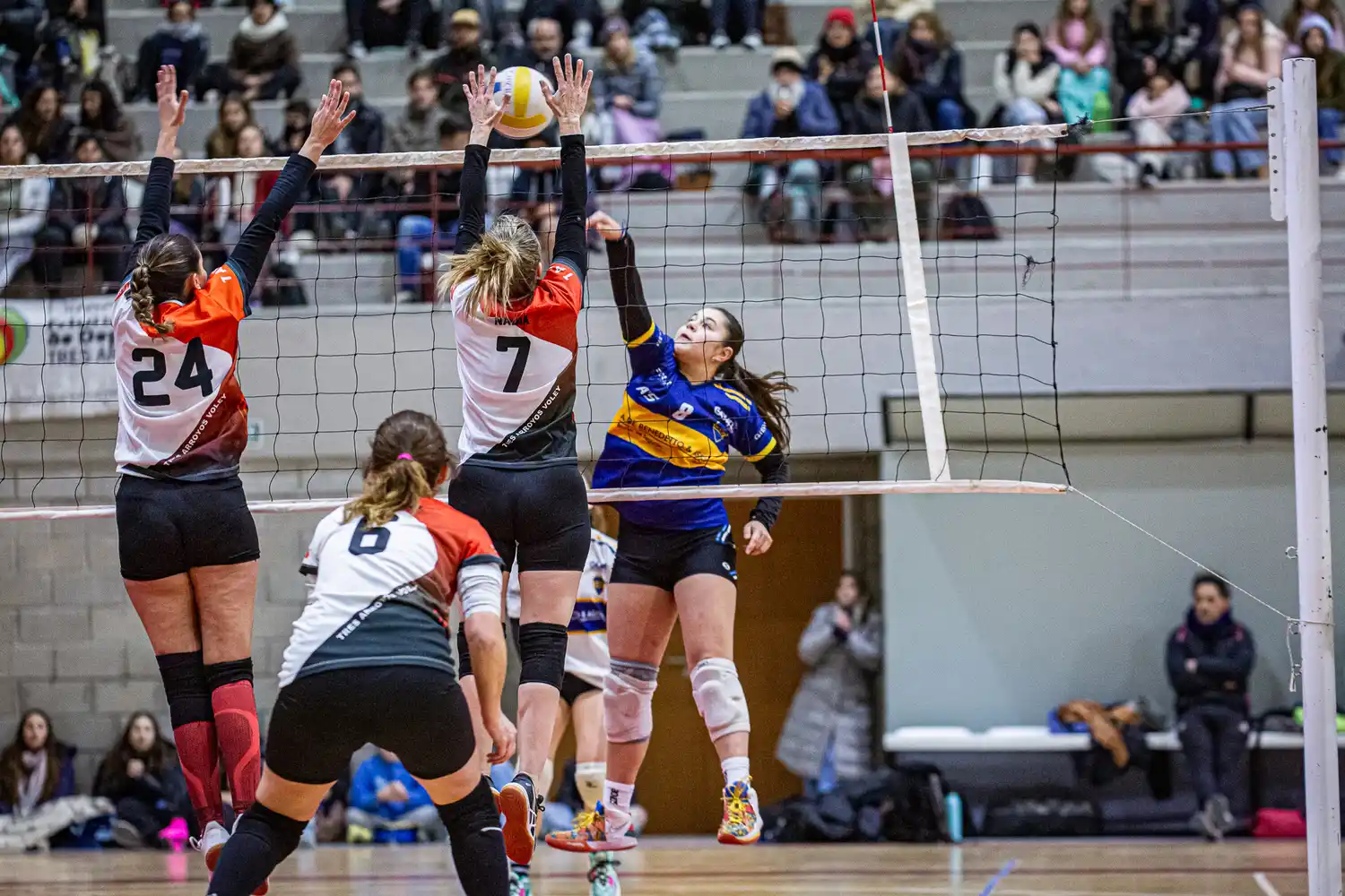 El vóley Femenino de Primera domina esta semana en la Liga Municipal: hoy TAV Rojo vs. Boca