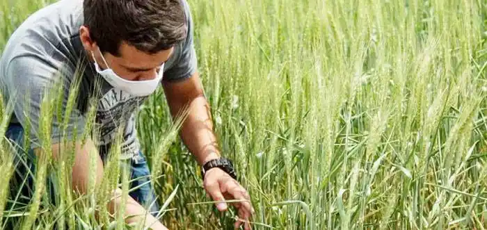 Más de 1000 científicos advierten que es riesgoso para la salud y el ambiente