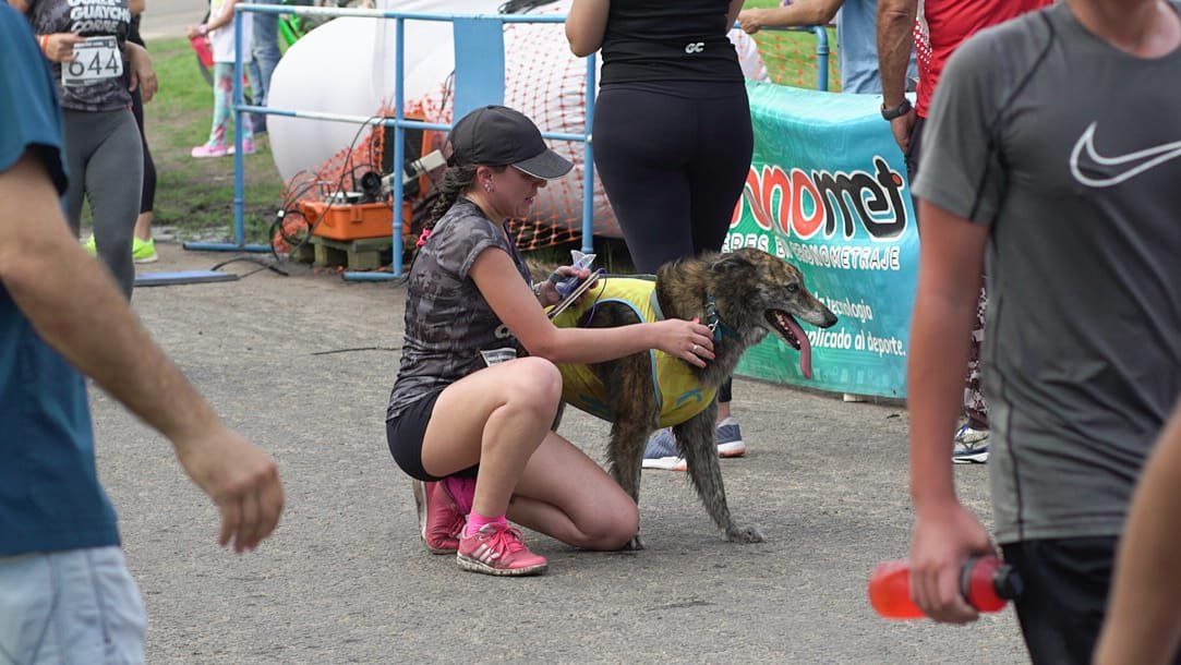 Algunos participantes corrieron acompañados por sus perros