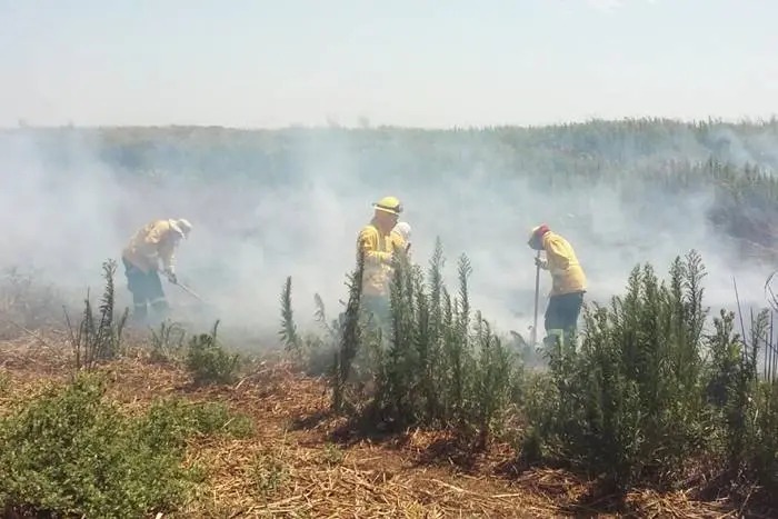 Se montó un operativo para combatir los nuevos focos de incendio  registrados en islas del Delta