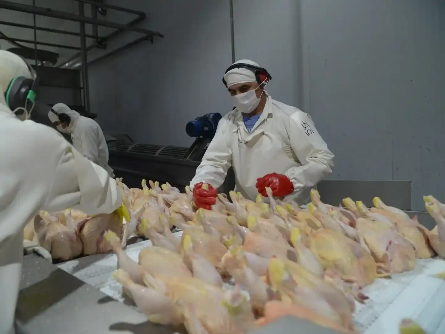 Argentina recupera el estatus sanitario