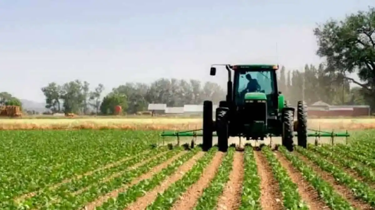 ¡ALERTA! Créditos bancarios solo financian 34% de la próxima siembra