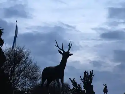 El clima en Venado: cielo gris, bajas temperaturas y posibilidad de lloviznas