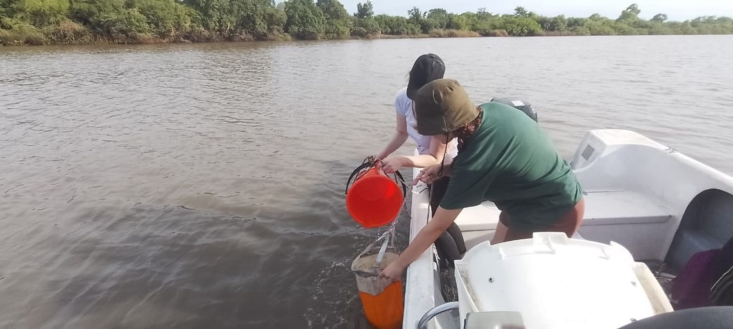 Analizan las aguas del río Gualeguaychú para controlar la proliferación de algas