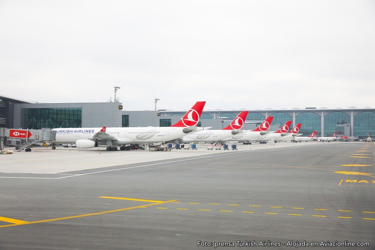 Turkish Airlines plans to add 14 destinations in four regions after returning to profit