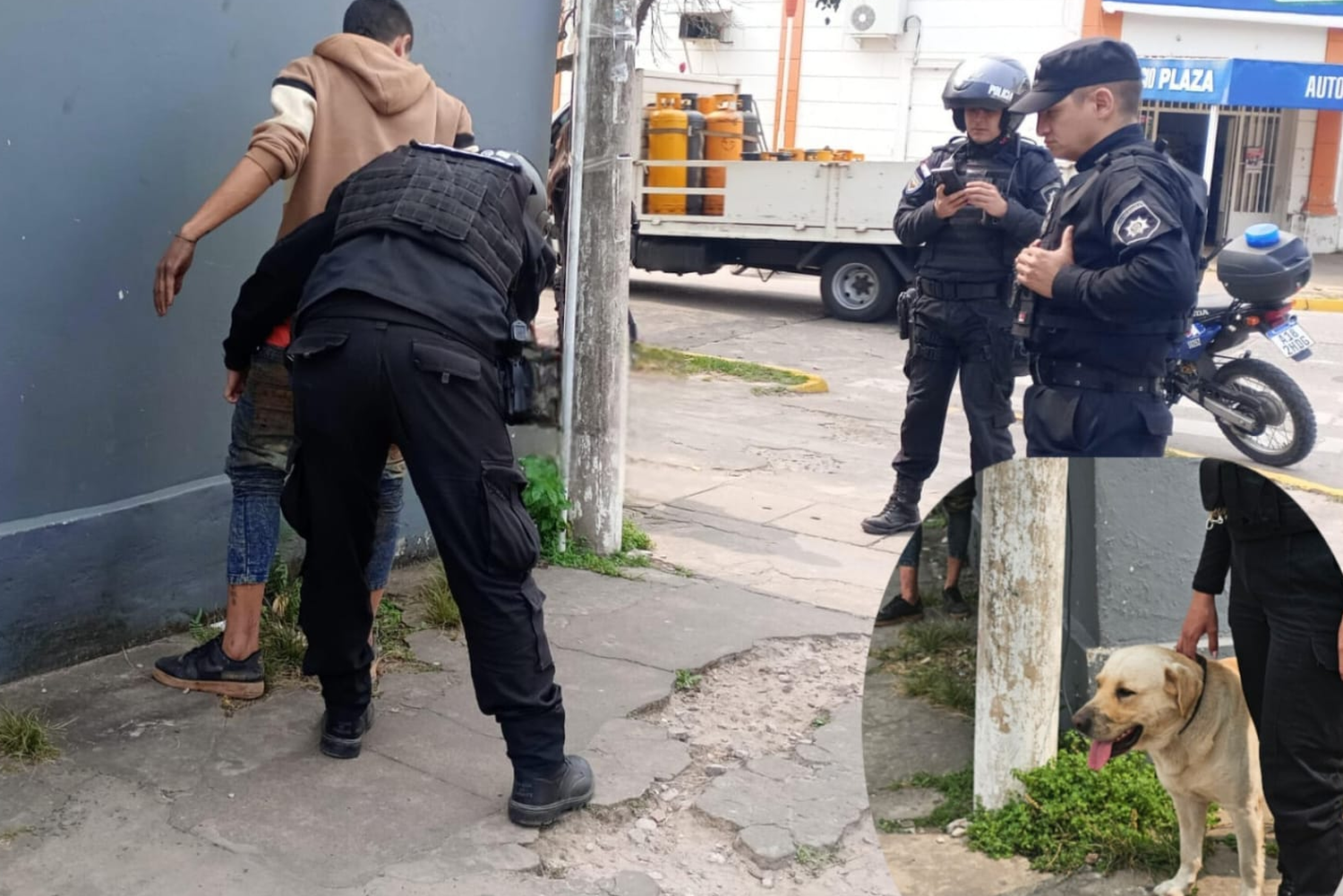 Un ladrón "pet unfriendly" fue detenido tras robar un perro labrador