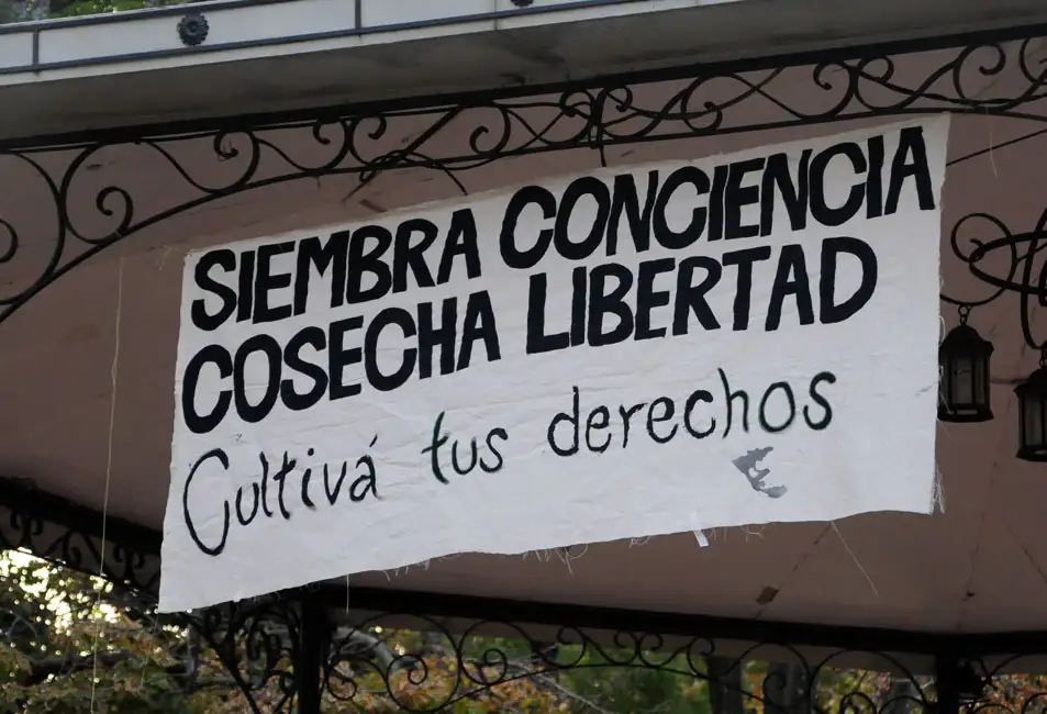 Tandil se sumó al pedido para que se implemente el Registro del Programa Cannabis