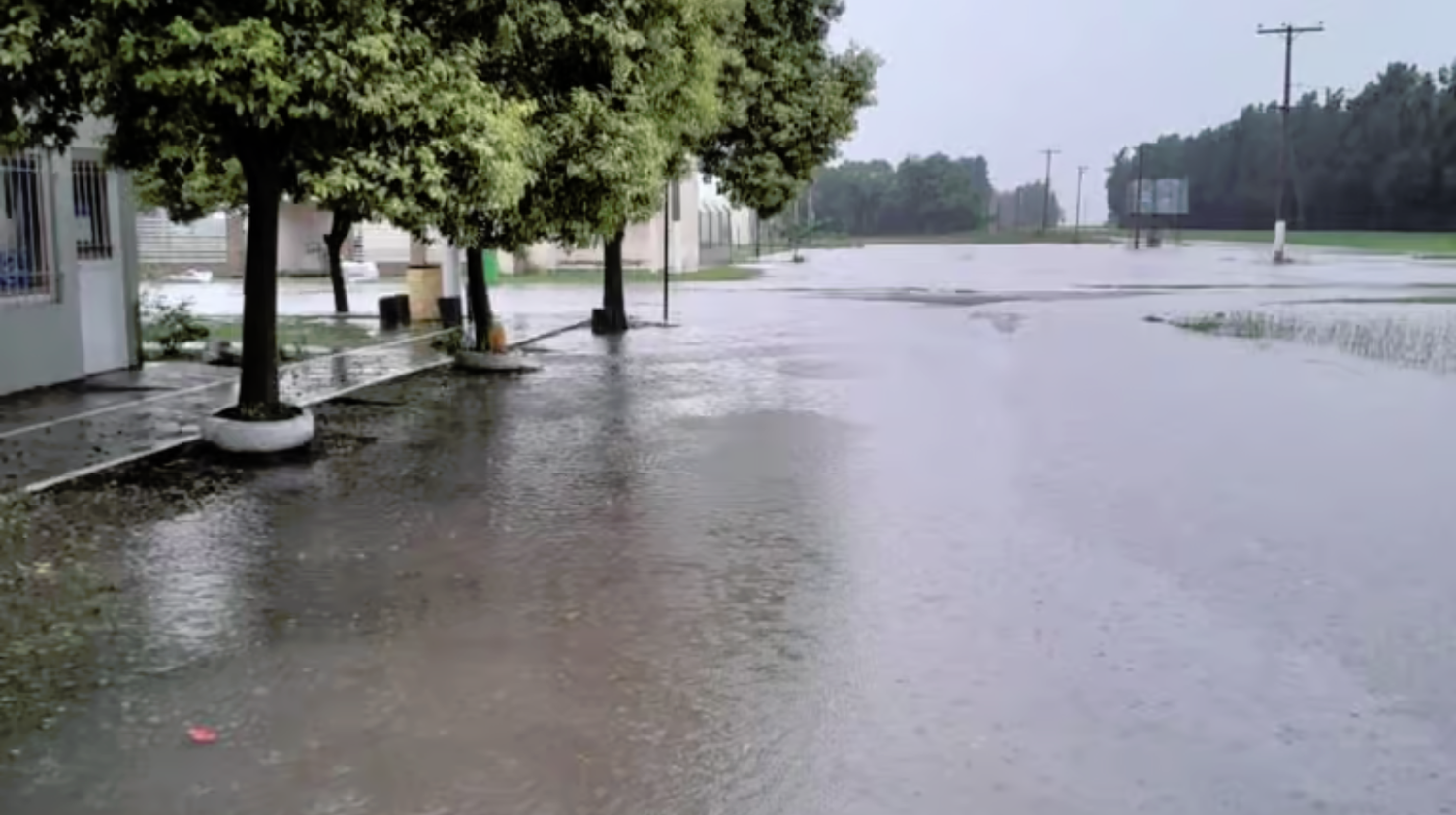 En el norte de la provincia de Santa Fe afectado por el agua caída en las ultimas horas.