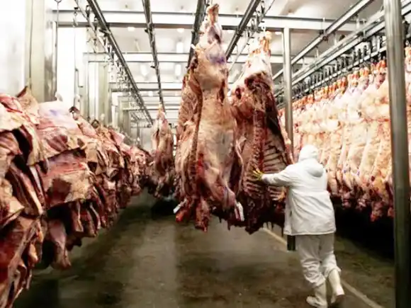 En octubre volvió a reducirse la faena de hacienda vacuna