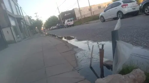 Gerardo reporta una pérdida de agua potable que se extiende por varias cuadras.