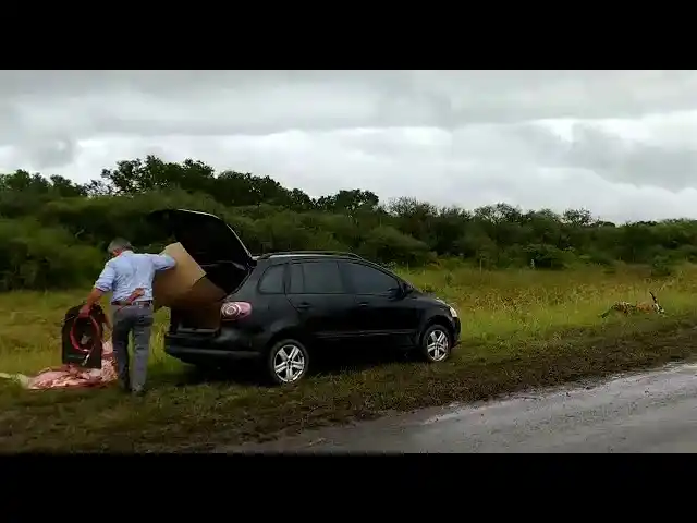Vera: volcó un camión con carne y vecinos se la llevaron