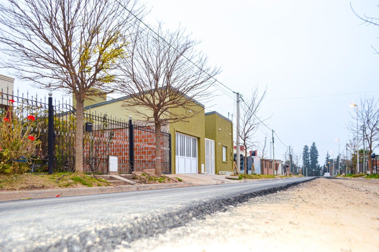 No se detiene el plan de arbolado de la ciudad