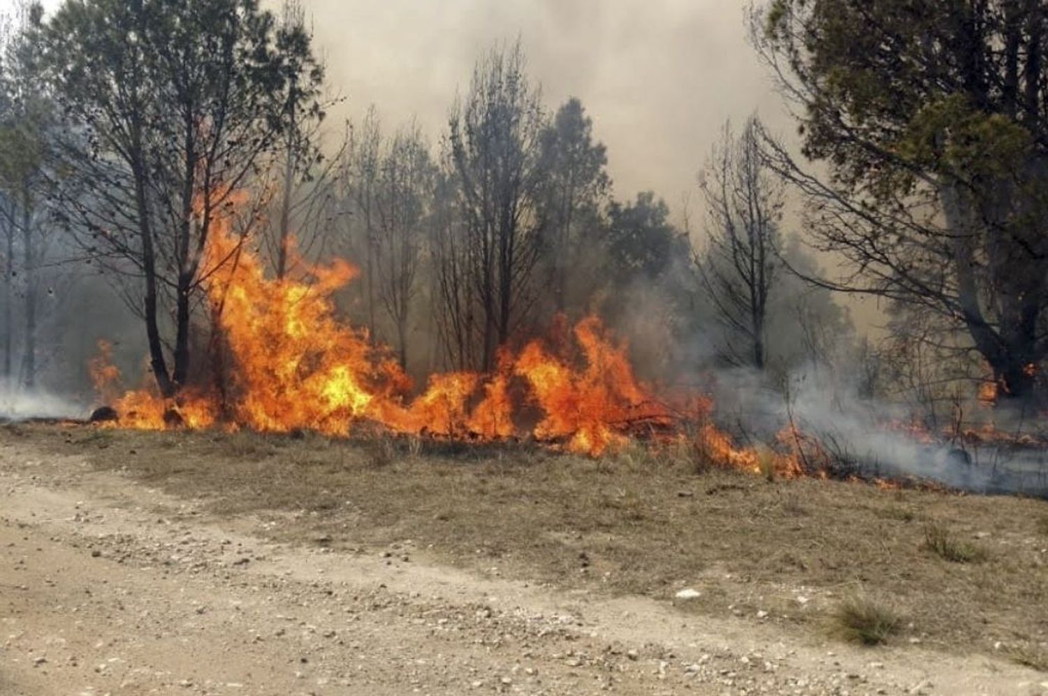 Combaten un incendio en la zona de Capilla del Monte en Córdoba