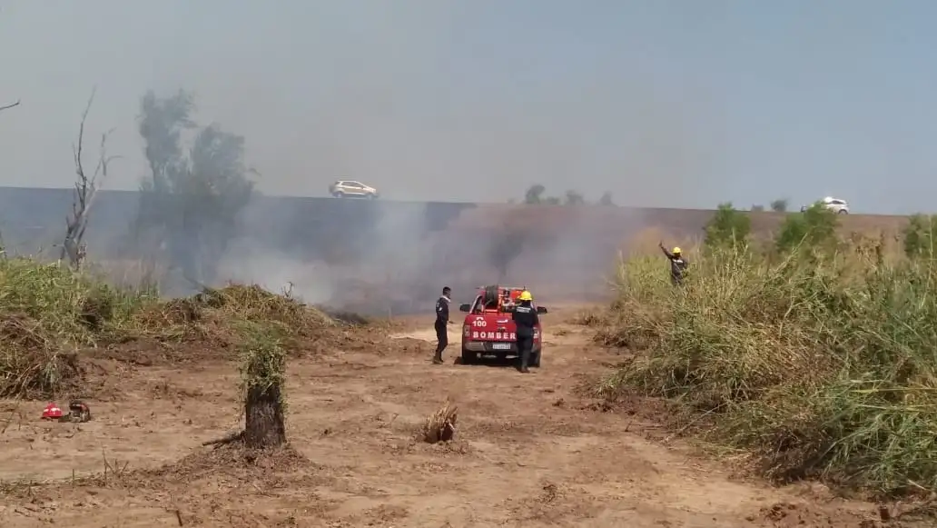 Incendios en el Delta: "La sequía y la bajante del Paraná fueron un combo fatal"