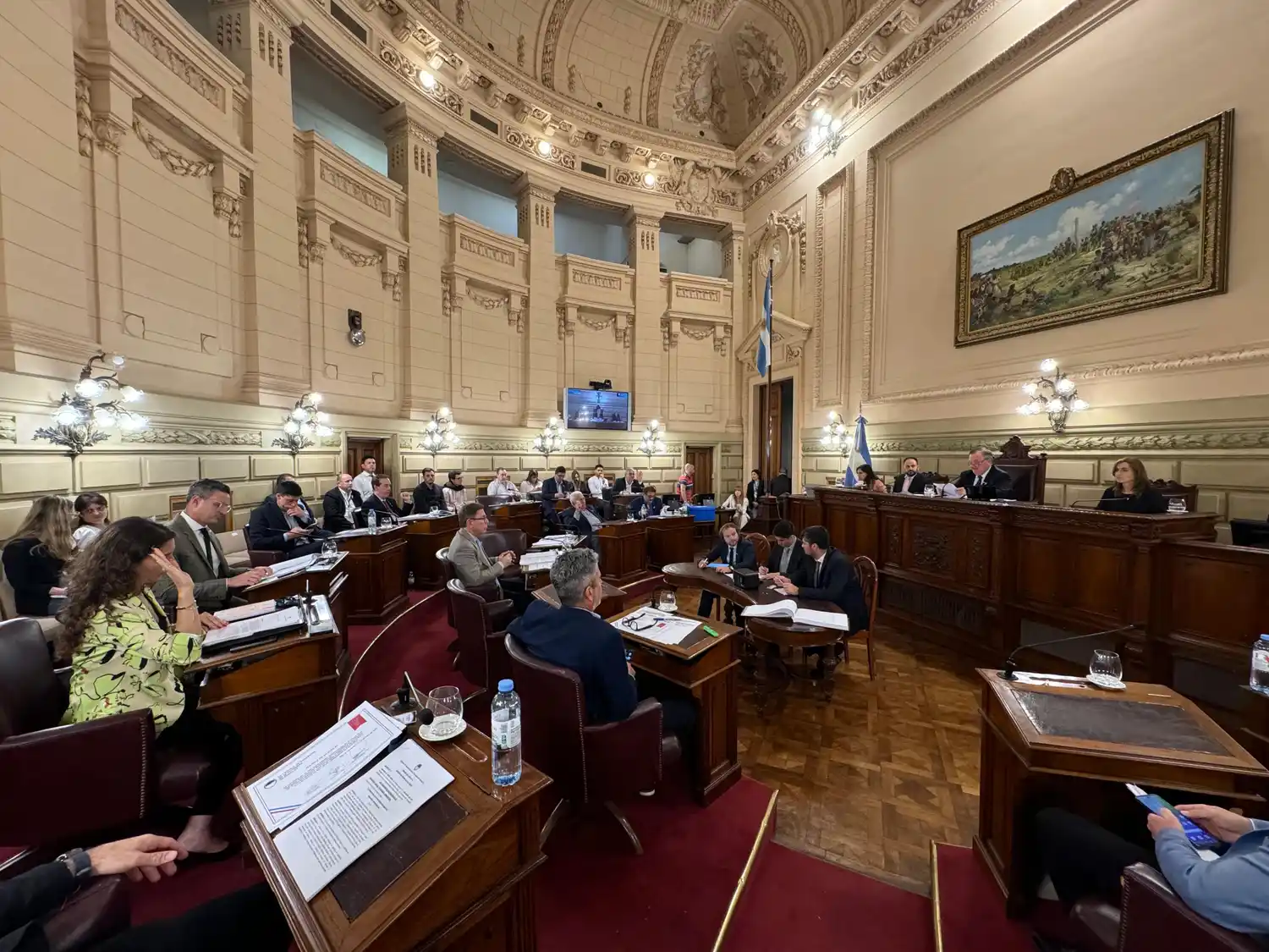 El momento donde la legisladora detalla las características del proyecto.