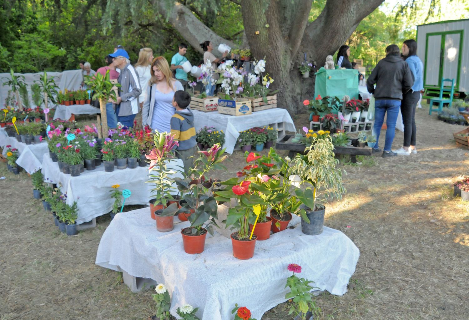 Unas 10 mil personas visitaron la Expo Jardín durante todo el fin de semana largo