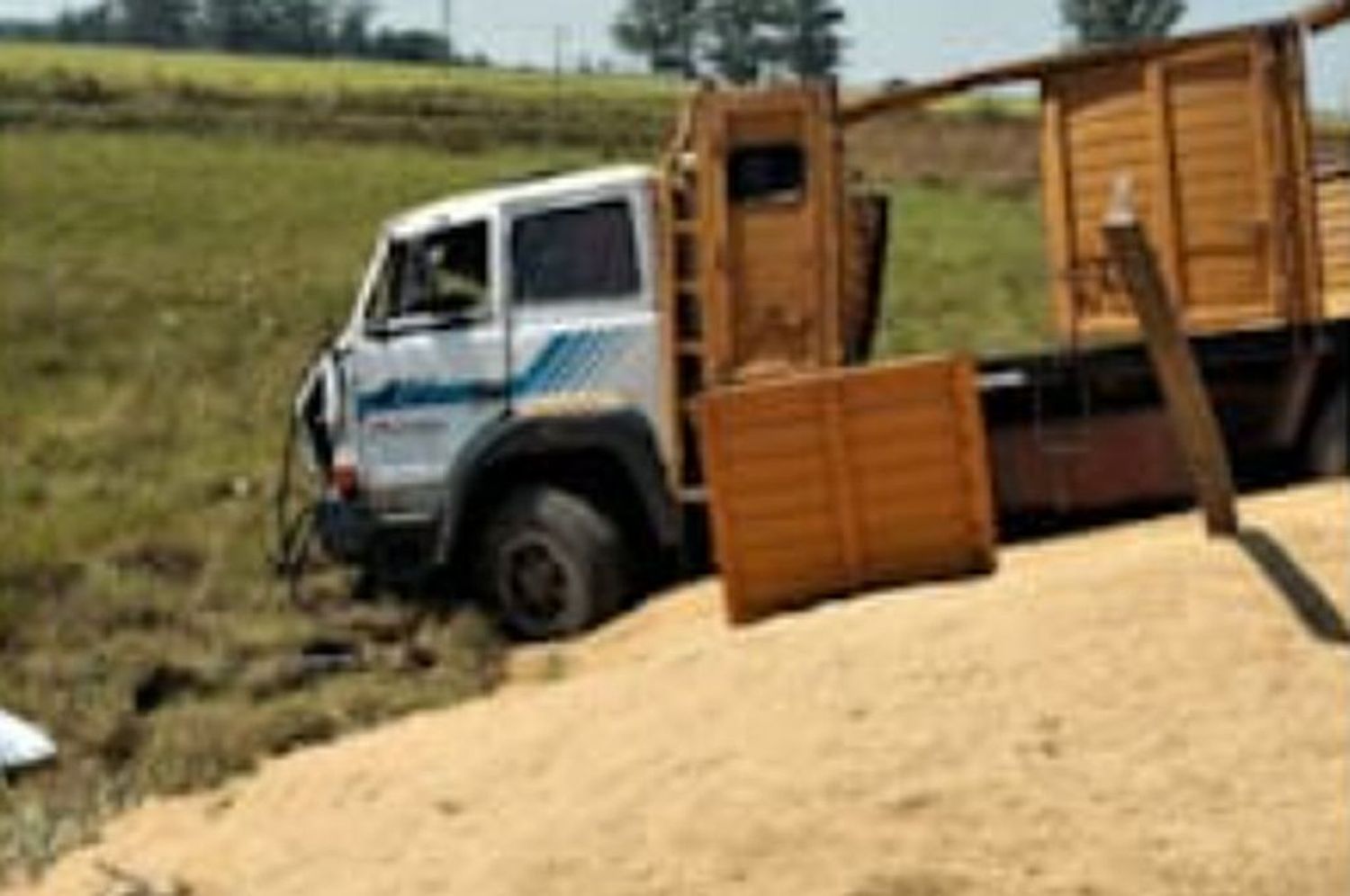 Cereales por todas partes: un camión volcó toda su carga en Pedro Gómez Cello