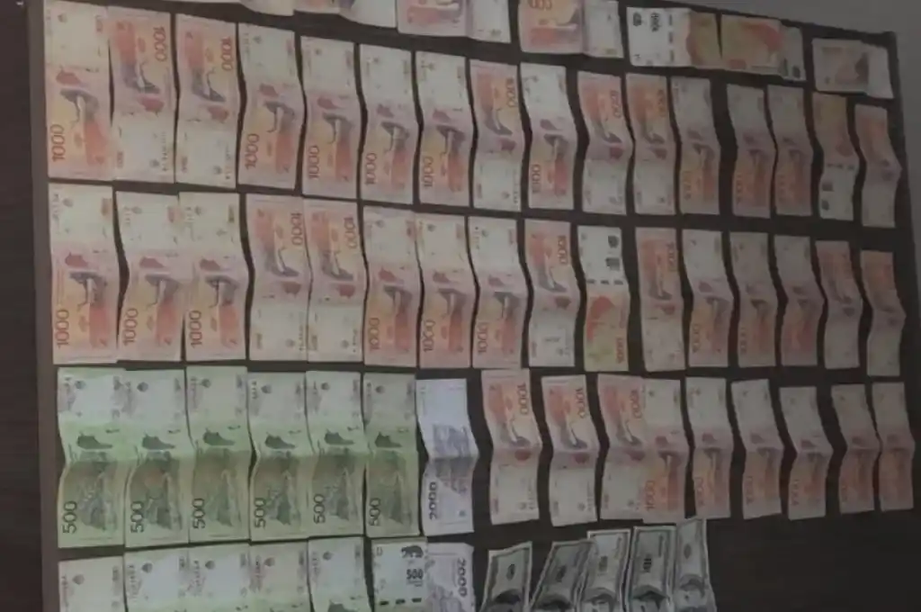Se encontraron en su poder varios dólares y otros billetes argentinos.