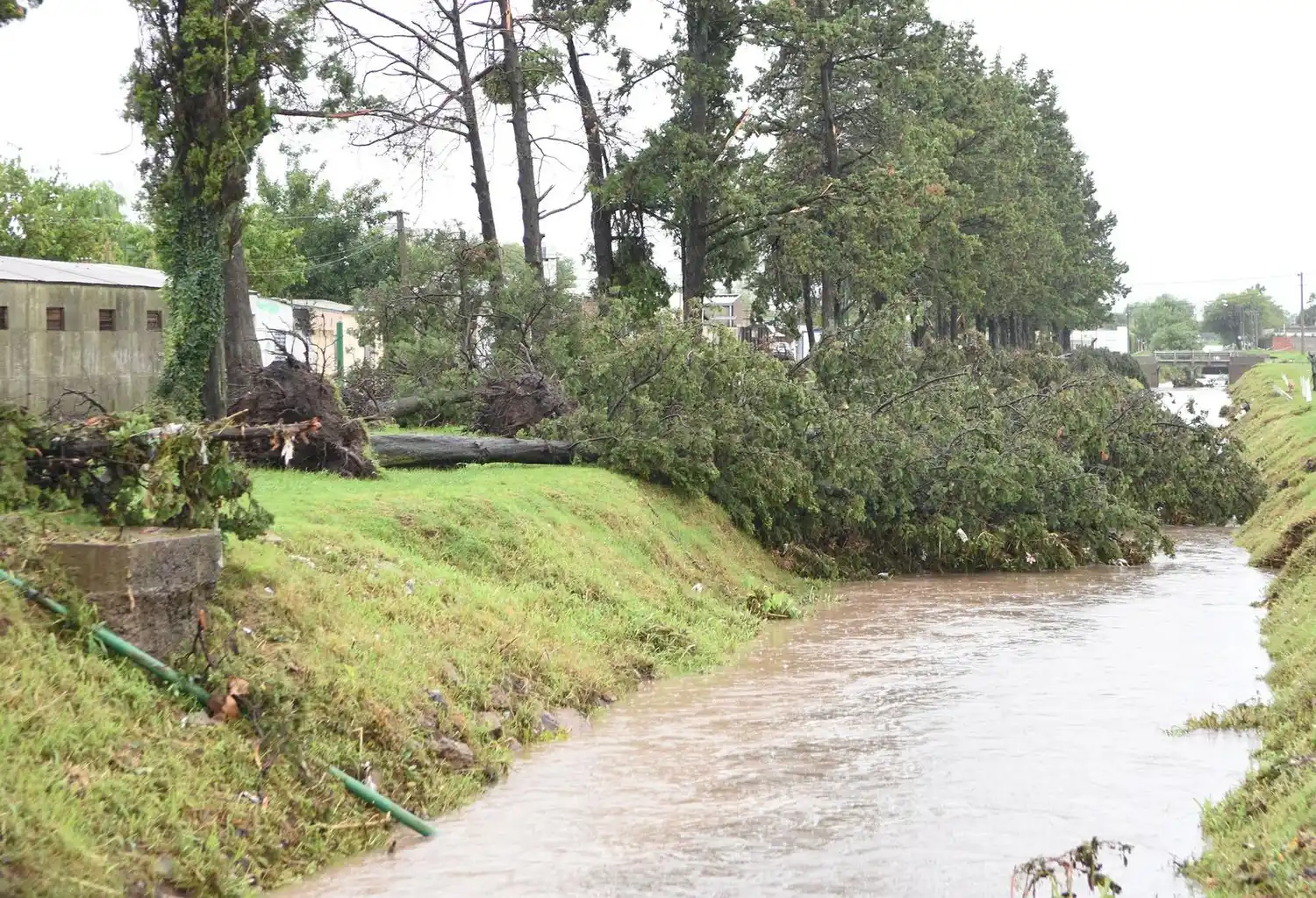 En 2016 hubo 73 lluvias con 1.338 milímetros