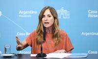 Tolosa Paz deberá informar por las irregularidades en los planes