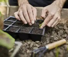 Otoño, la estación ideal para el recambio de cultivos y contemplar el ciclo de las plantas