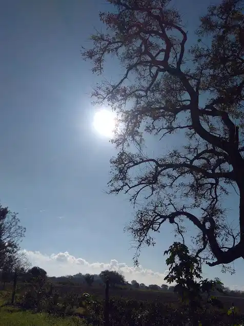 Sábado con buen tiempo en la ciudad  