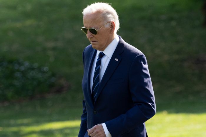 Biden no buscará la reelección