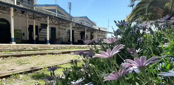 Diferentes talleres presenciales se brindan en el Centro Cultural Municipal Vieja Estación