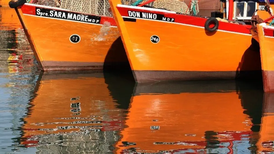 Un sector de la pesca marplatense responde a Sturzenegger: "Nosotros no somos la casta"