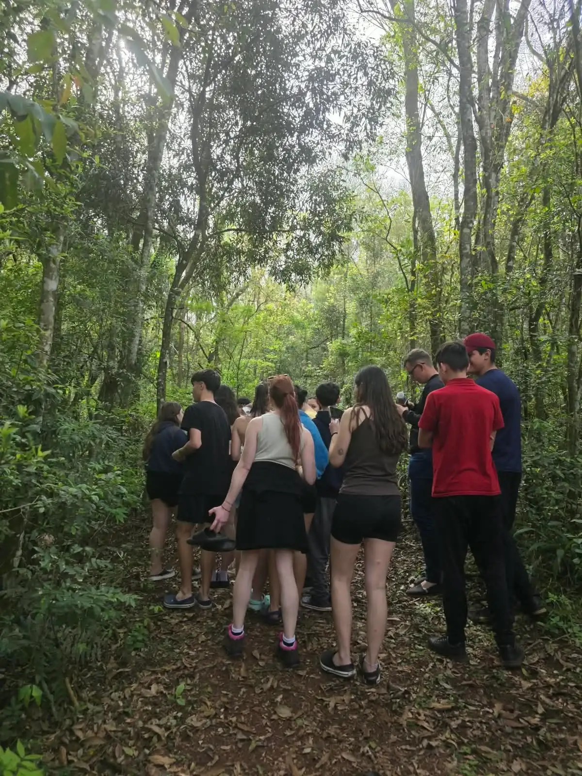 Selva