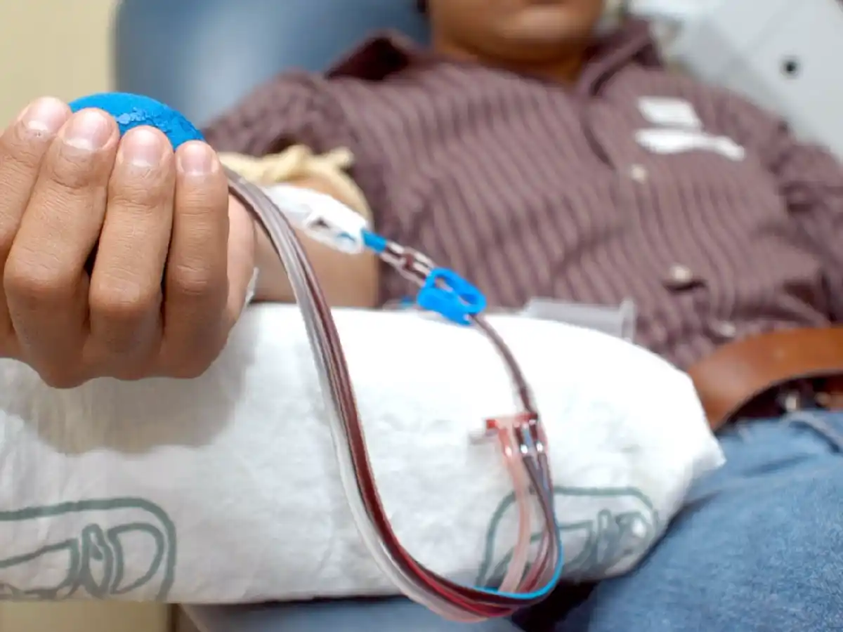 Talasemia, una anemia crónica que se hereda