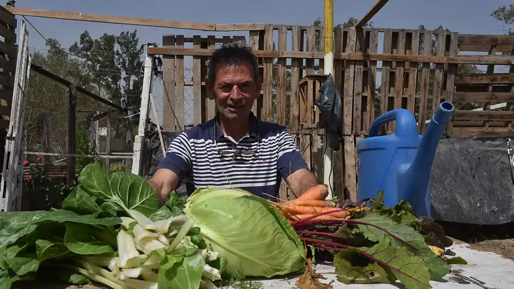 Domingo “Mingo” Boscacci