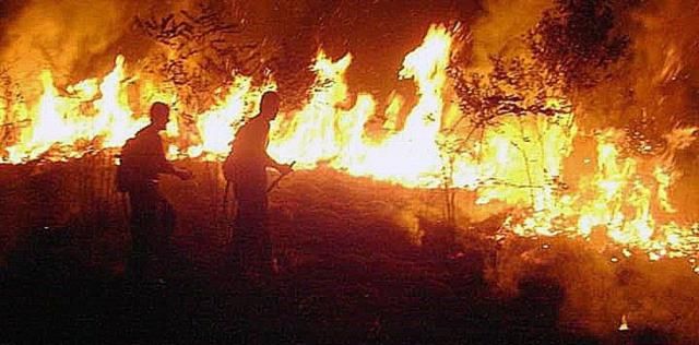 Hay 50 bomberos entrerrianos entrenados para ir al Amazonas
