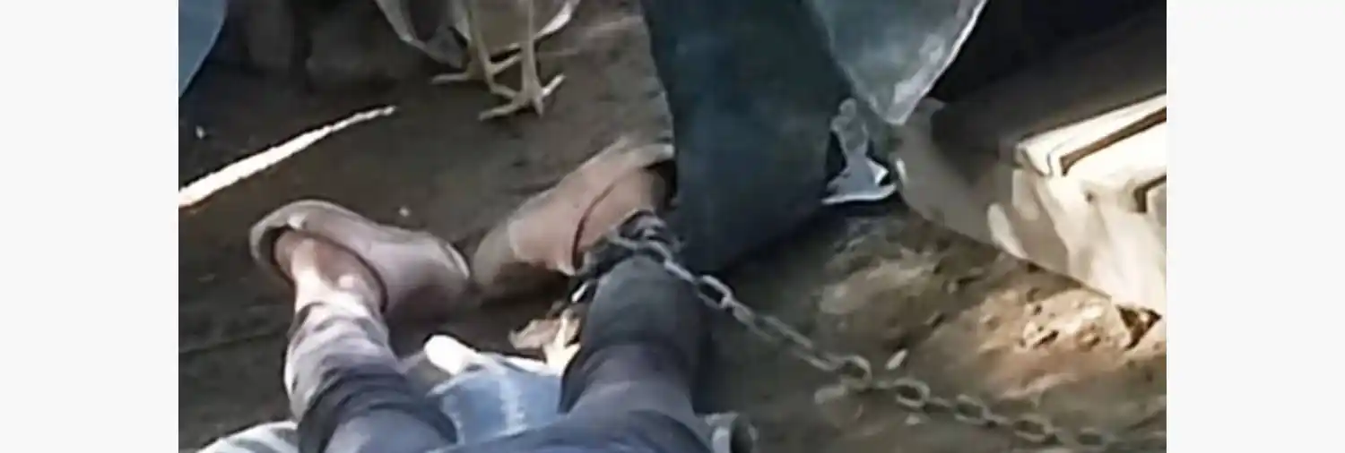 La víctima tiene síndrome de Down y discapacidad mental moderada.