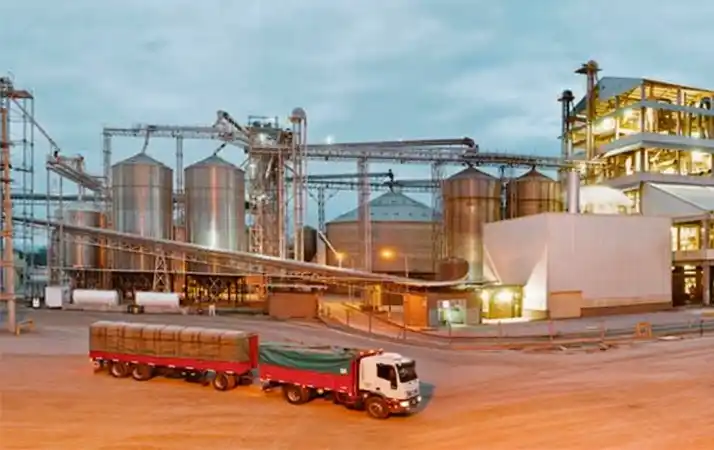 Aceitera entra en proceso de crisis y despedirá a 117 de sus 200 empleados