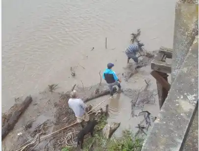 El municipio se sumó a la limpieza del Viejo Puente Pellegrini