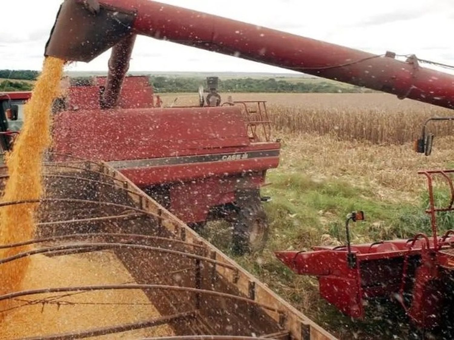 Récord de las exportaciones del agro brasileño en el cuatrimestre