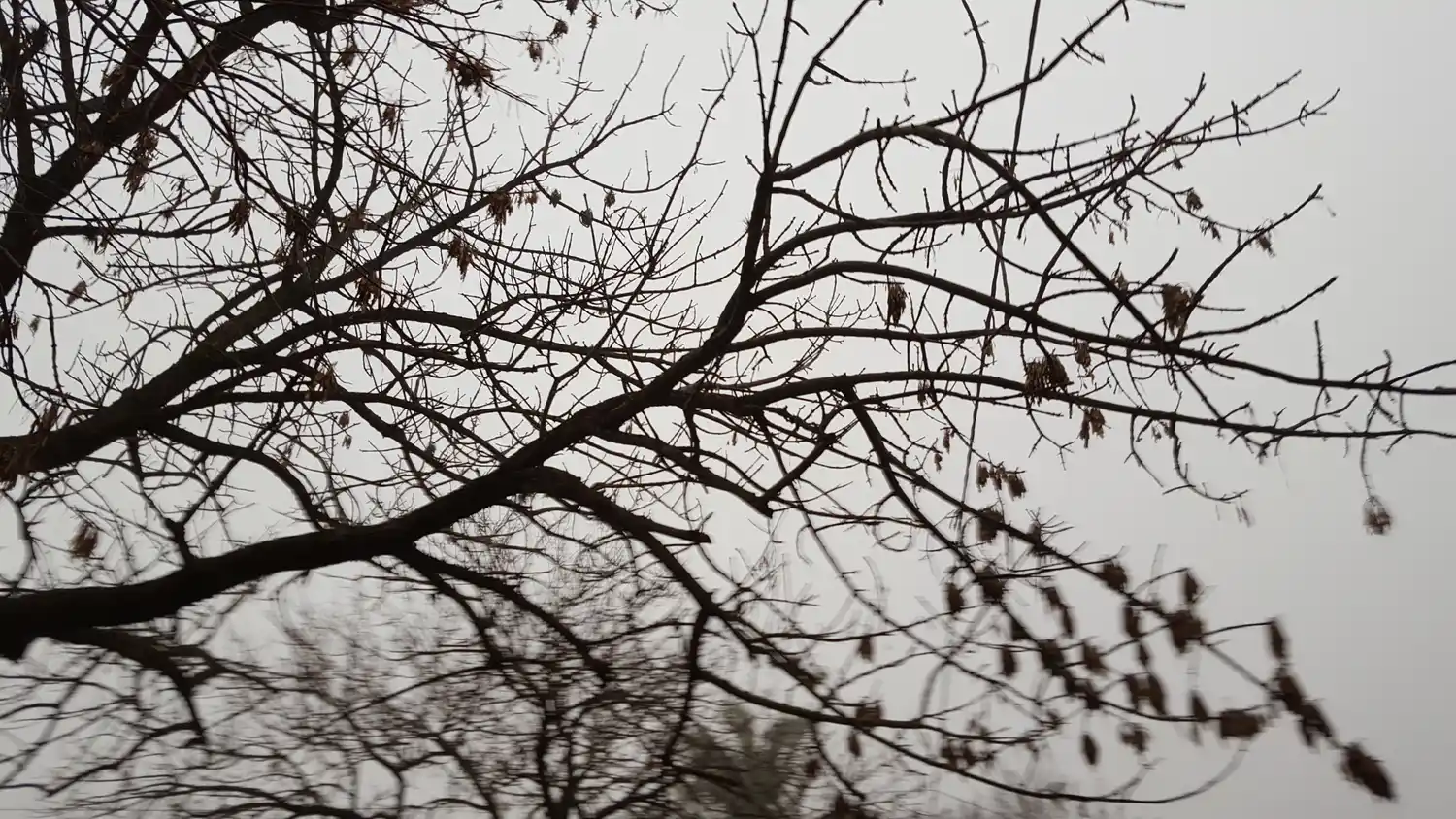 Neblinas y bancos de niebla reducían esta mañana la visibilidad en rutas entrerrianas