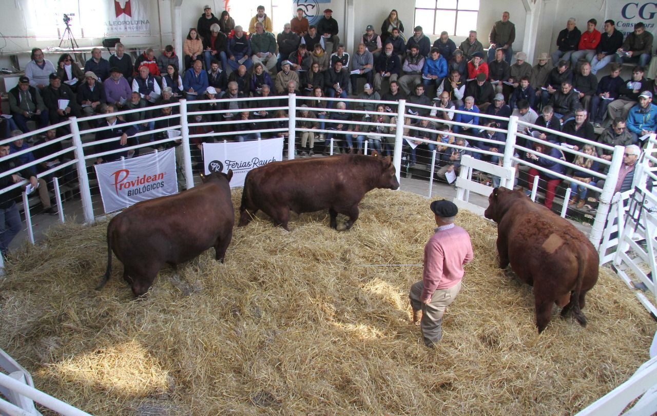 Fácil venta para La Leopoldina y San Patricio