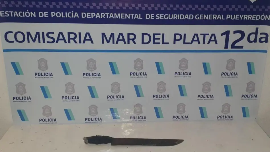 Detuvieron a un joven que golpeó a su madre con un machete
