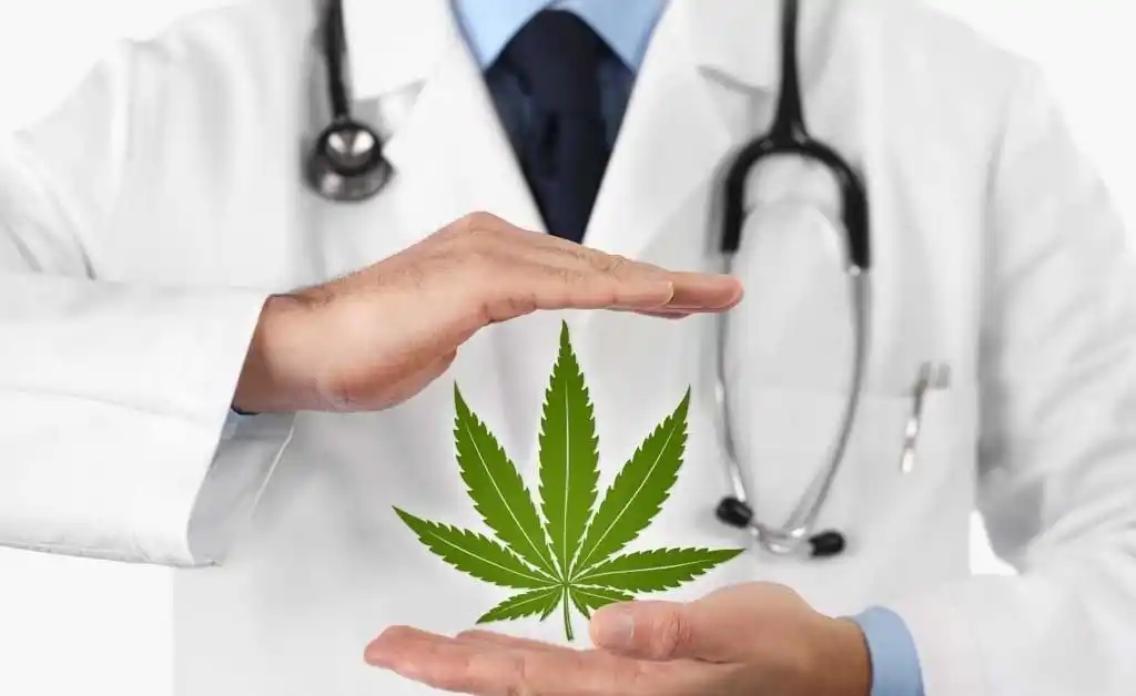 Es ley el acceso al cannabis medicinal en Entre Ríos
