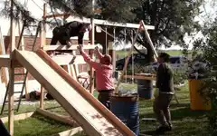 Un Whatsapp que se transformó en una realidad