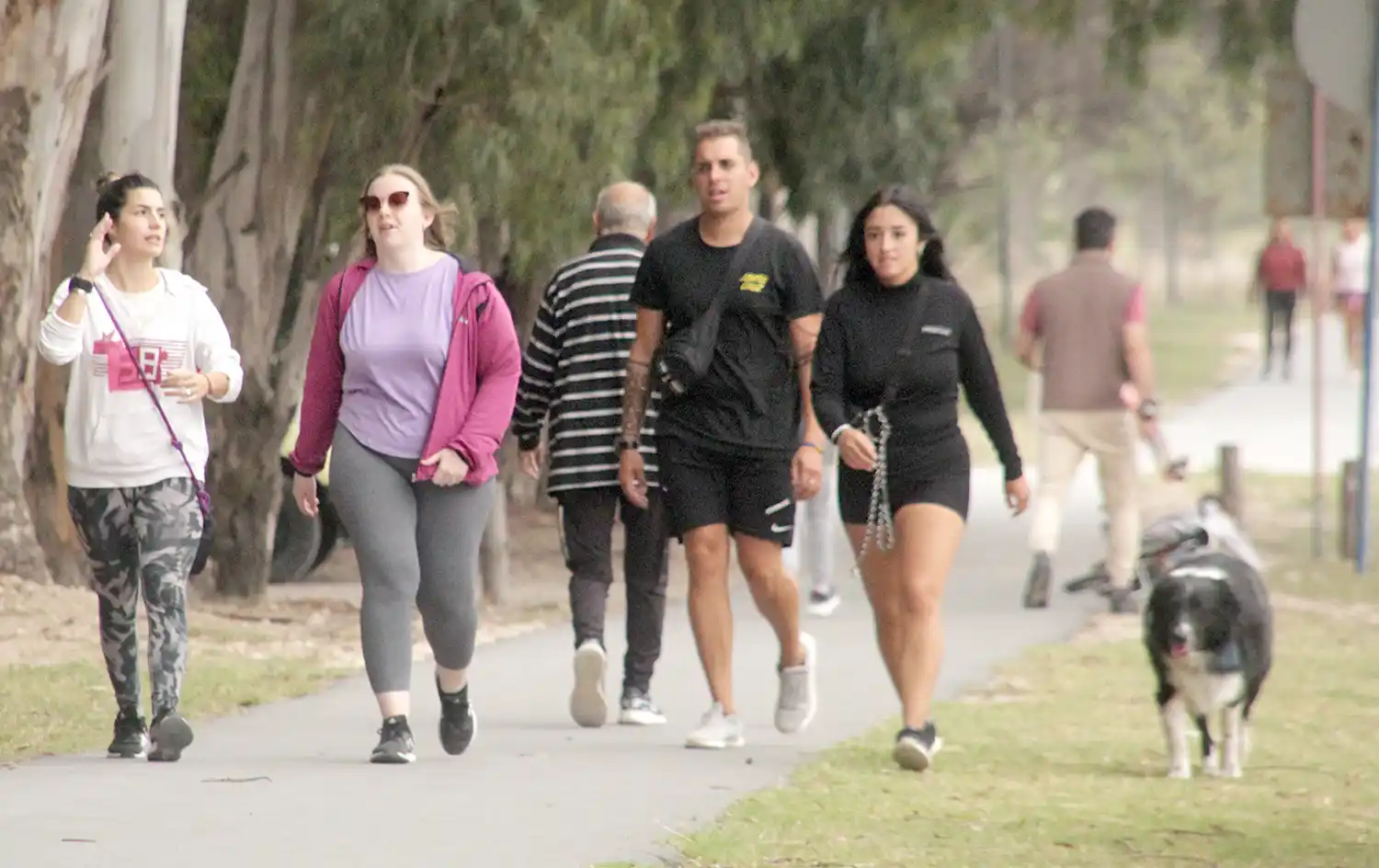 El Parque Miguel Lillo transversal a todas las estaciones del año