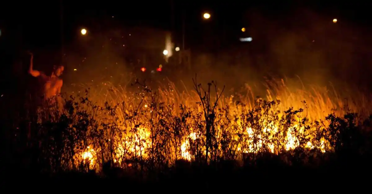 “Hace falta mayor concientización para evitar incendios”